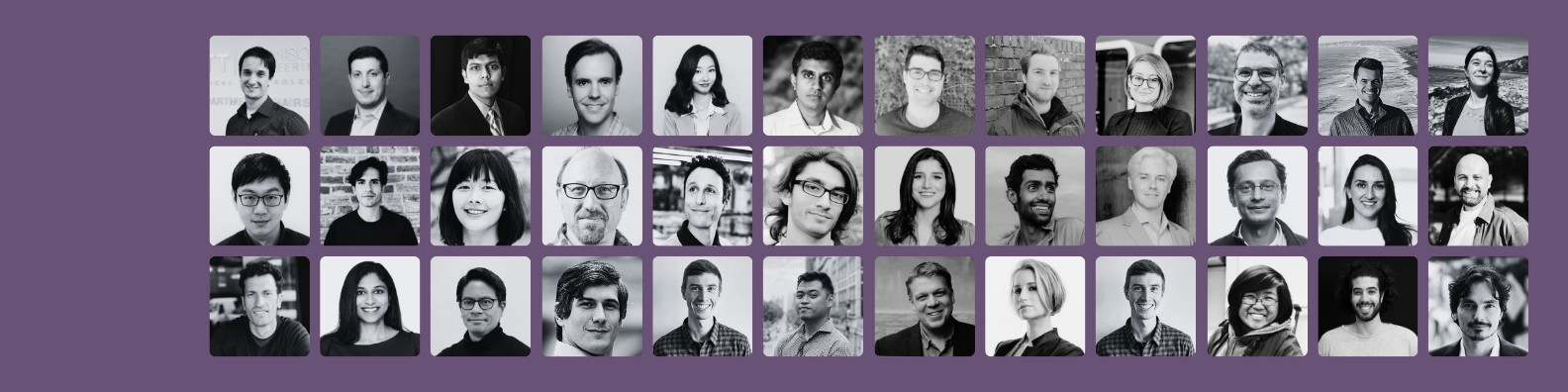 Portraits of Brains fellows