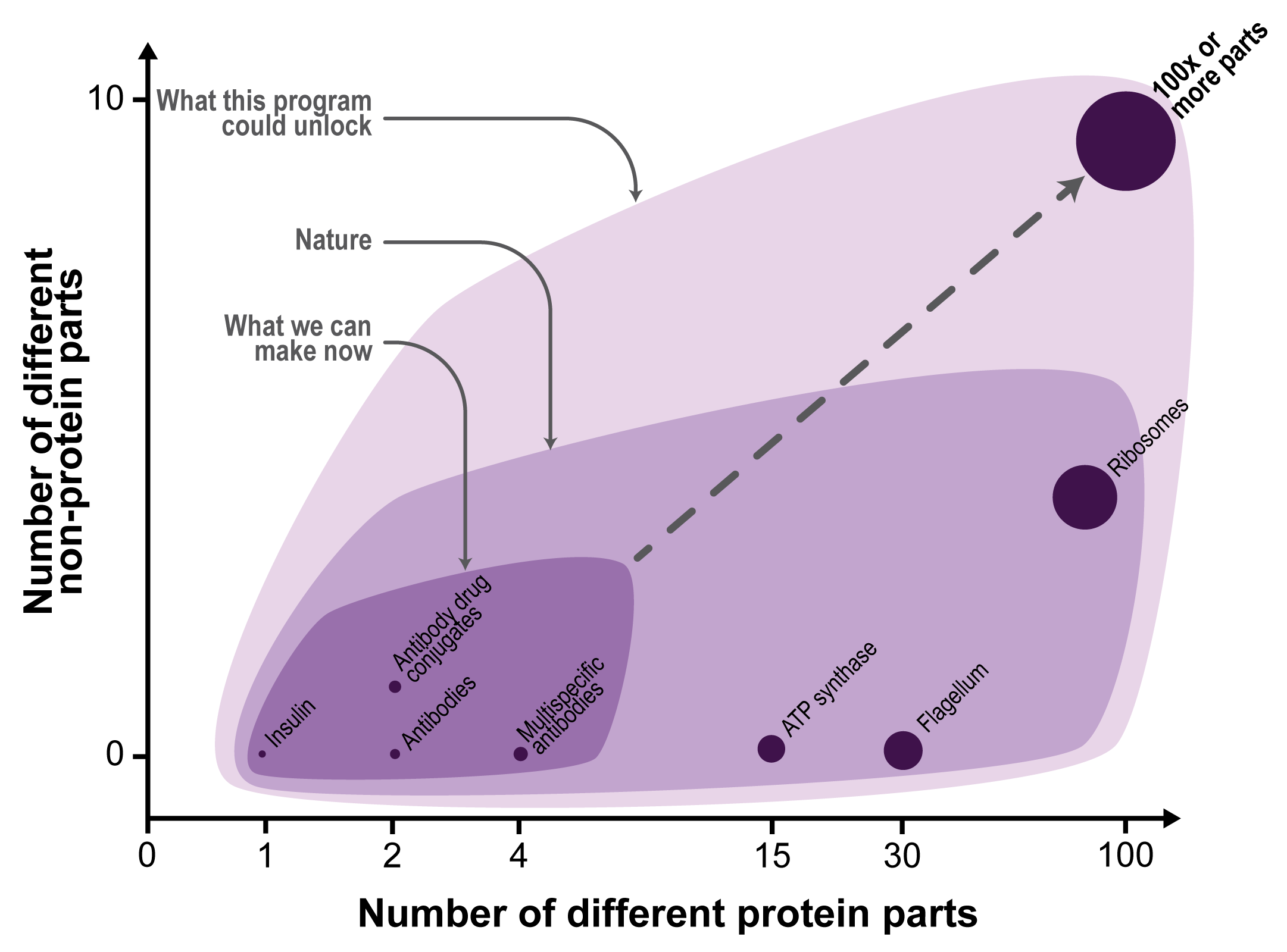 complexity-of-proteins